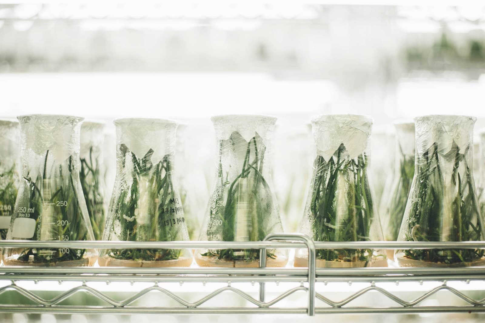 Research-led organic cultivation